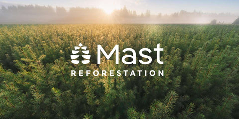 Mast Reforestation